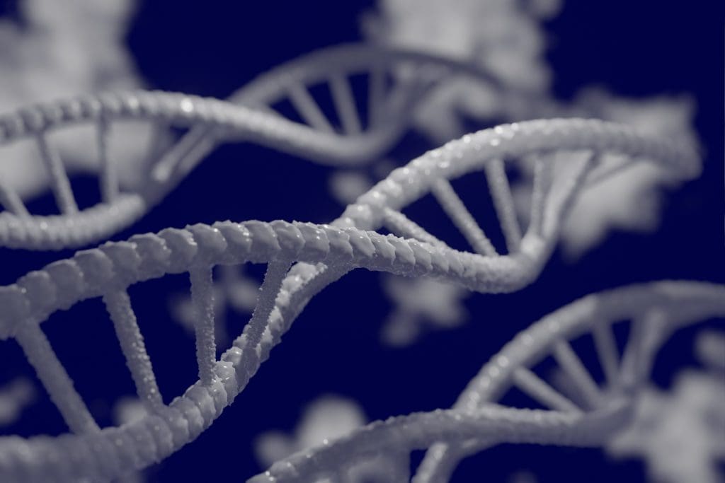 Biologisch vatbaar voor verslaving